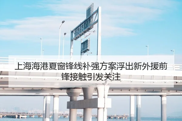 上海海港夏窗锋线补强方案浮出新外援前锋接触引发关注